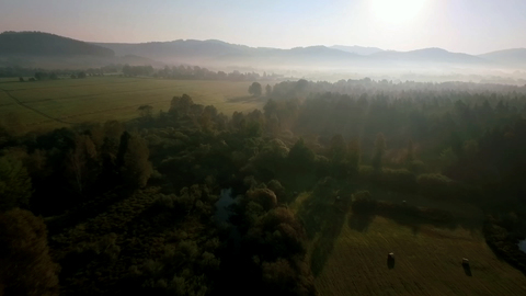 Der Böhmerwald – eine Wildnis mitten in Europa, Bild 22